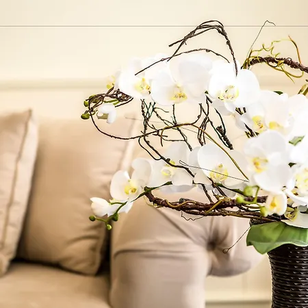 Hotel Palace Marina Dinevi Sweti Wlas